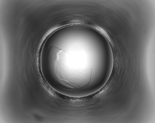 X0000087051051200704181233