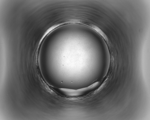 X0000087051052200704181233