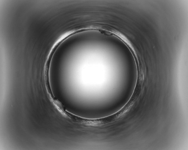 X0000087051053200704181233