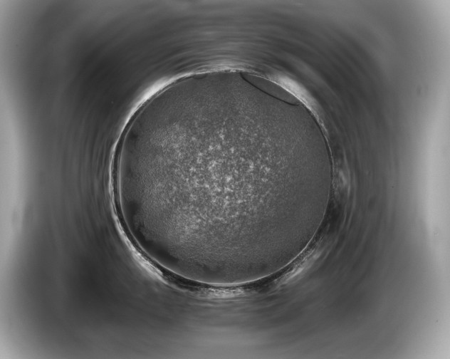 X0000087051055200704181233