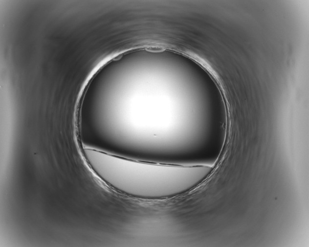 X0000087051056200704181233