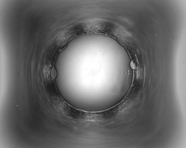 X0000087051059200704181232