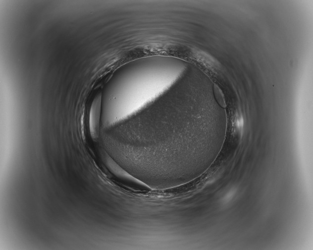 X0000087051060200704181232