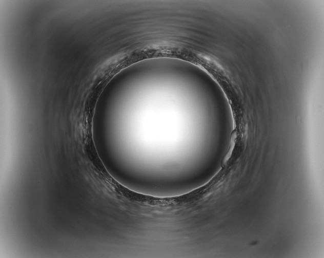 X0000087051062200704181232