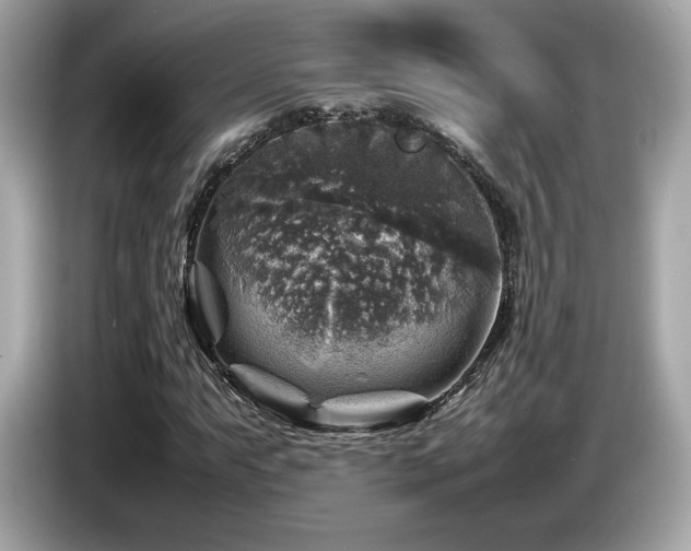 X0000087051063200704181232