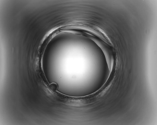 X0000087051066200704181232