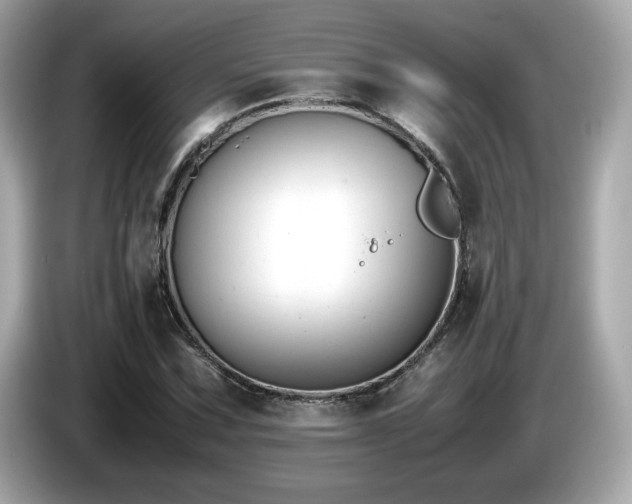 X0000087051067200704181232