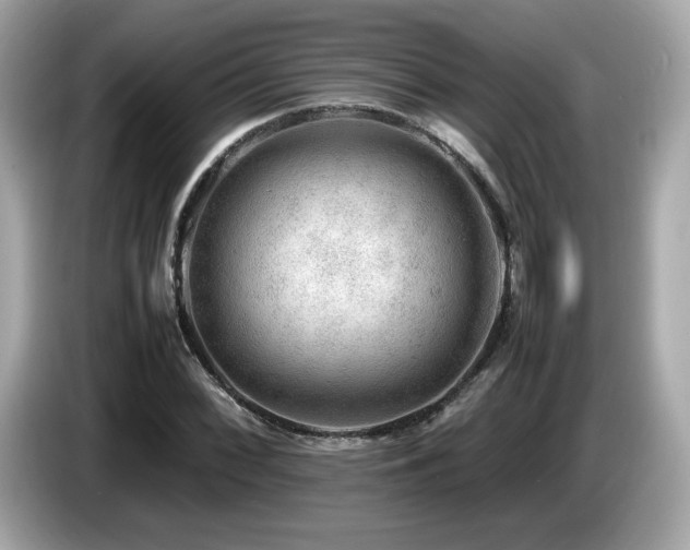X0000087051068200704181232