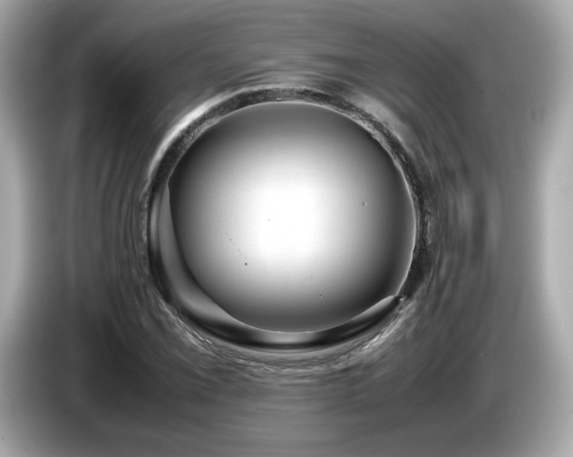 X0000087051069200704181232