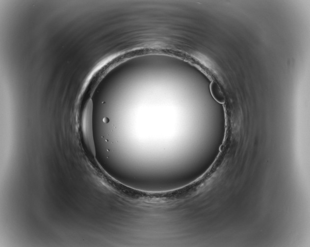 X0000087051070200704181232