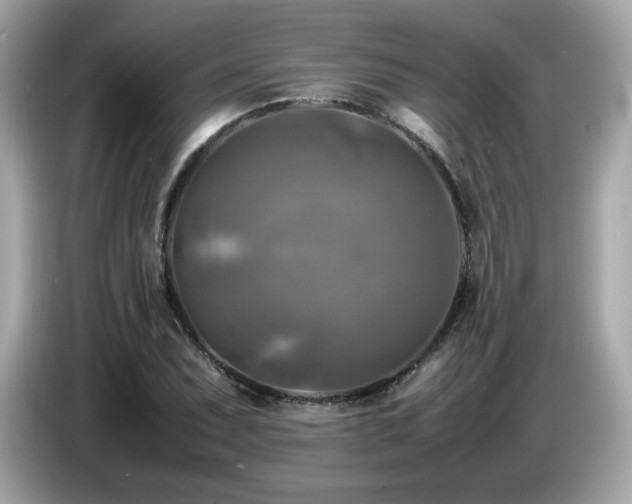 X0000087051071200704181232