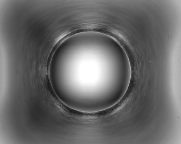 X0000087051073200704181232
