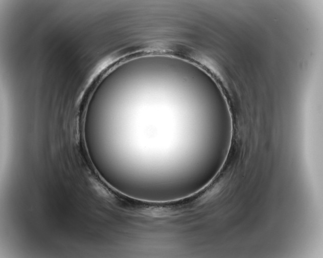 X0000087051075200704181232