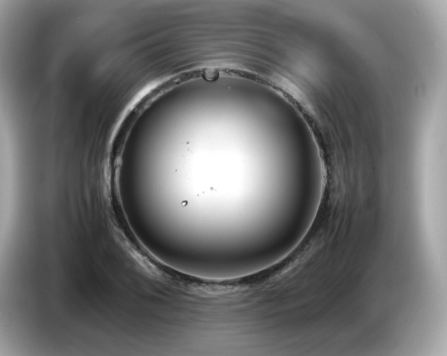 X0000087051076200704181232