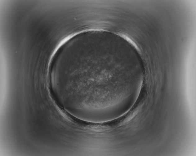 X0000087051077200704181232
