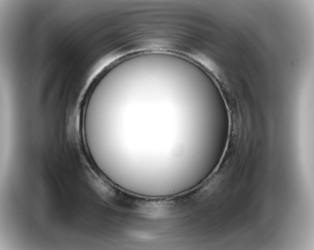 X0000087051078200704181232