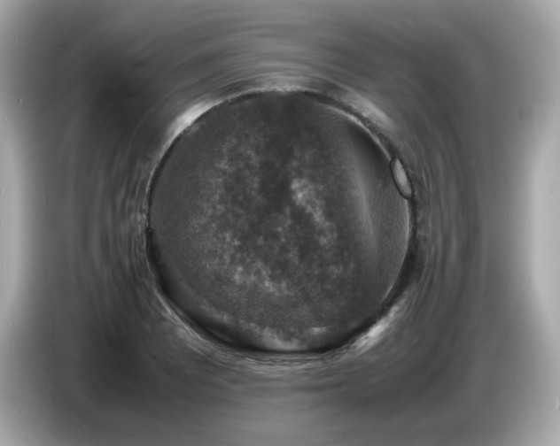 X0000087051081200704181232