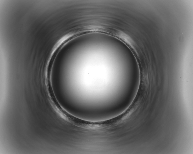 X0000087051082200704181232