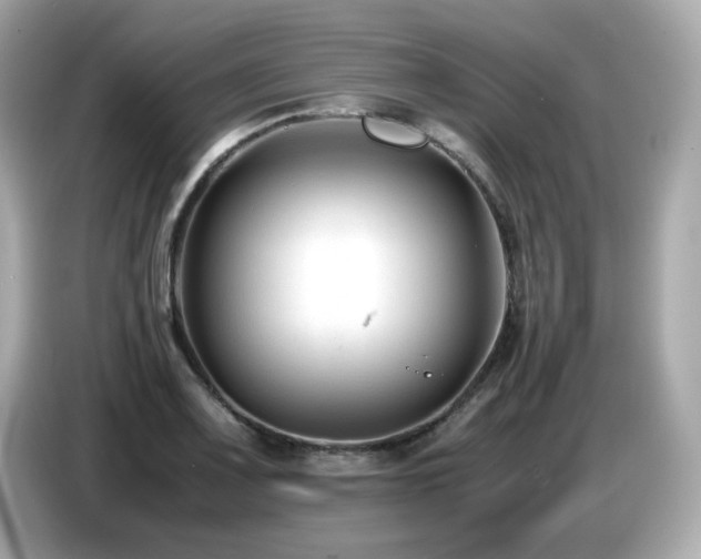 X0000087051083200704181232