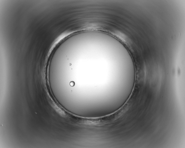 X0000087051086200704181232