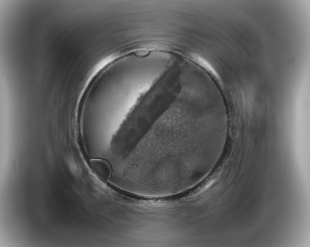 X0000087051087200704181232