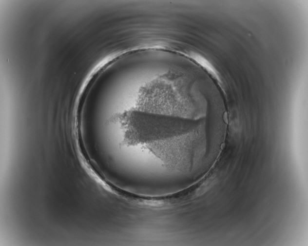 X0000087051088200704181232