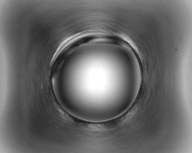 X0000087051089200704181232
