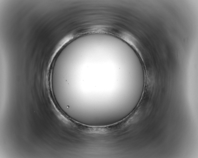 X0000087051090200704181231