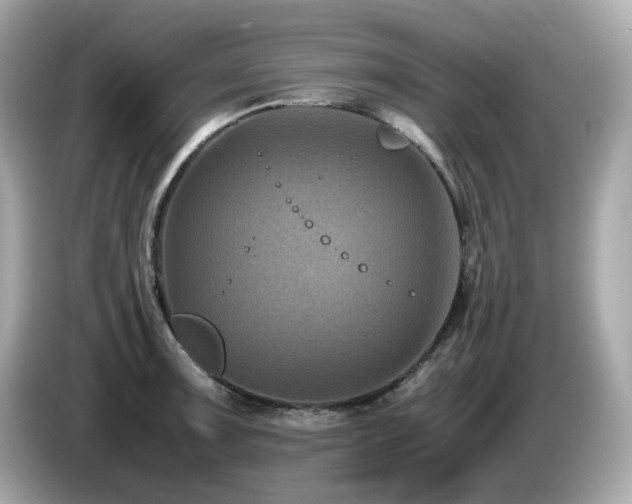 X0000087051091200704181231