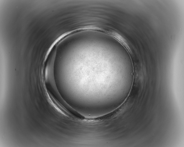 X0000087051092200704181231