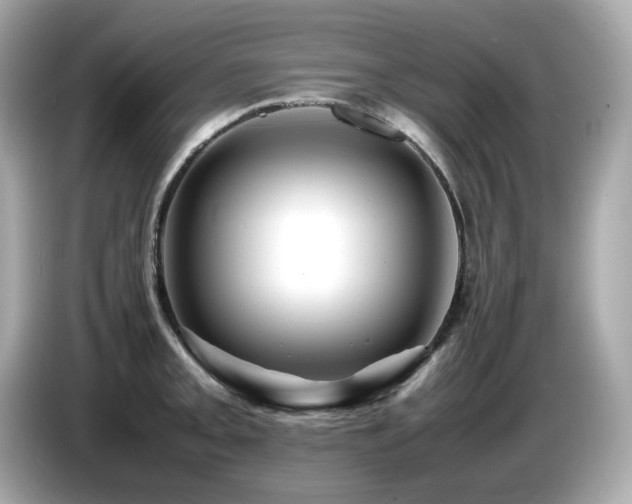 X0000087051093200704181231