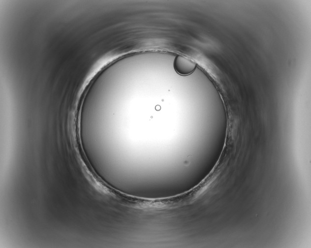 X0000087051094200704181231
