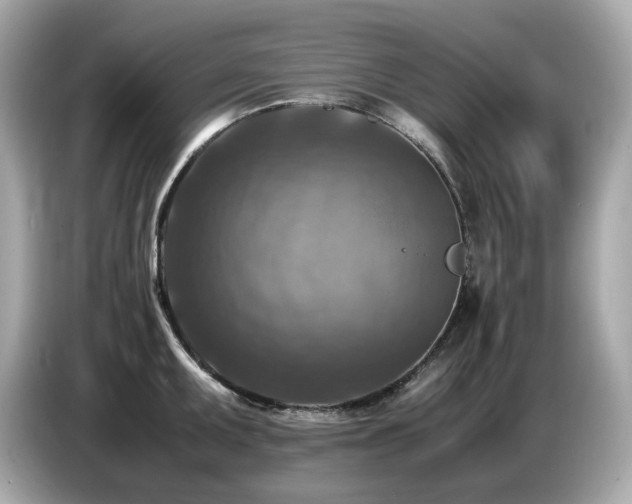 X0000087051095200704181231