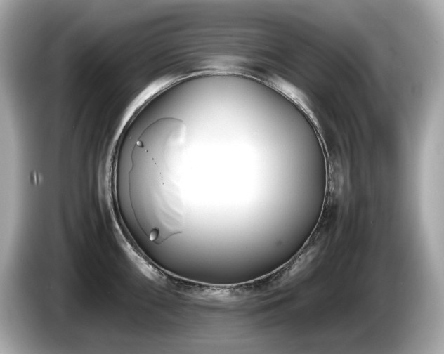 X0000087051098200704181231