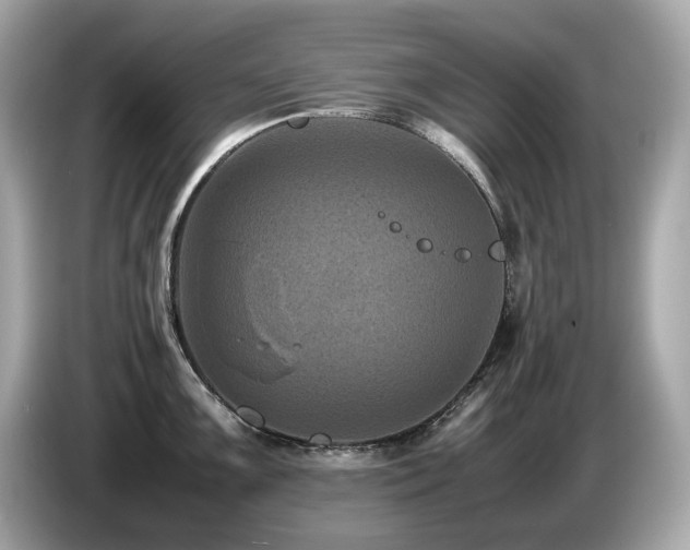 X0000087051099200704181231