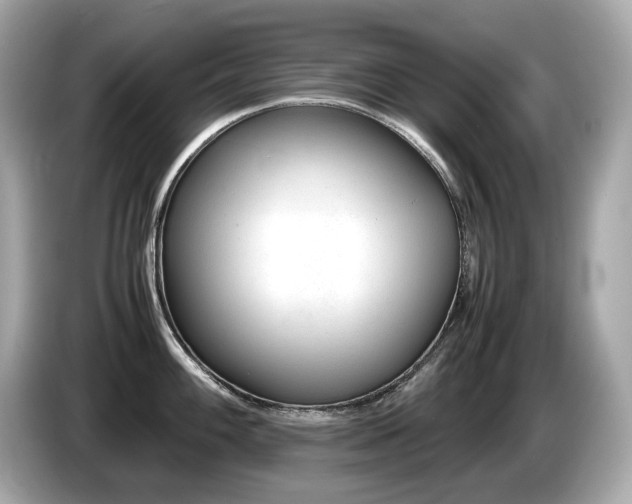 X0000087051100200704181231