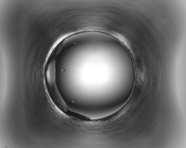 X0000087051102200704181231