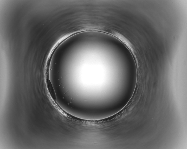 X0000087051104200704181231