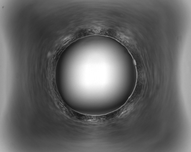 X0000087051105200704181231
