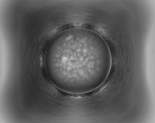 X0000087051106200704181231