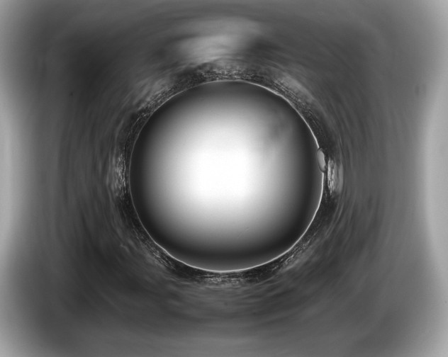 X0000087051107200704181231