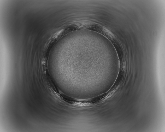 X0000087051108200704181231