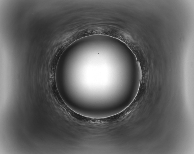 X0000087051109200704181231