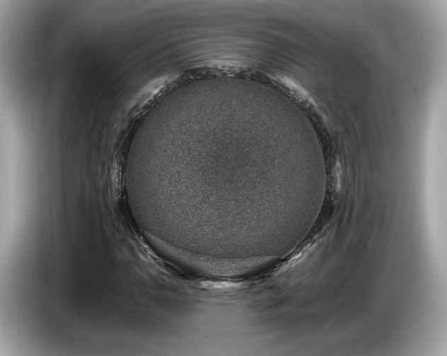 X0000087051110200704181231