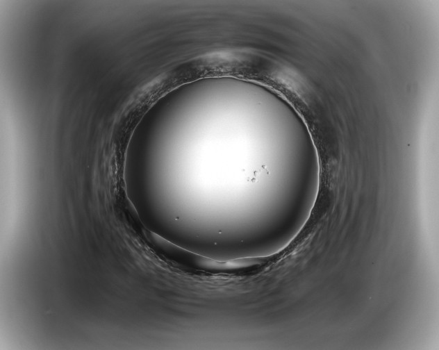 X0000087051111200704181231