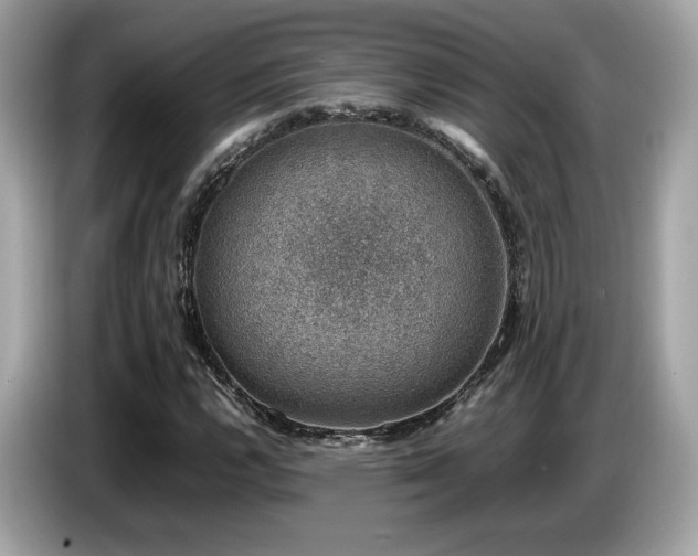 X0000087051112200704181231