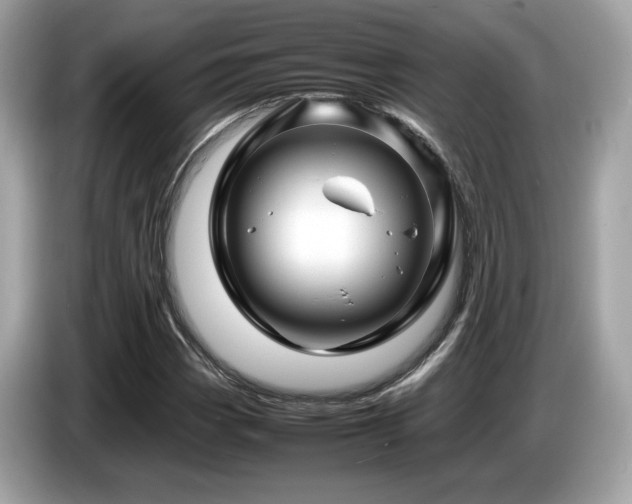 X0000087051113200704181231