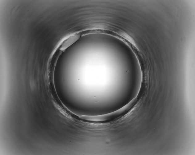 X0000087051116200704181231