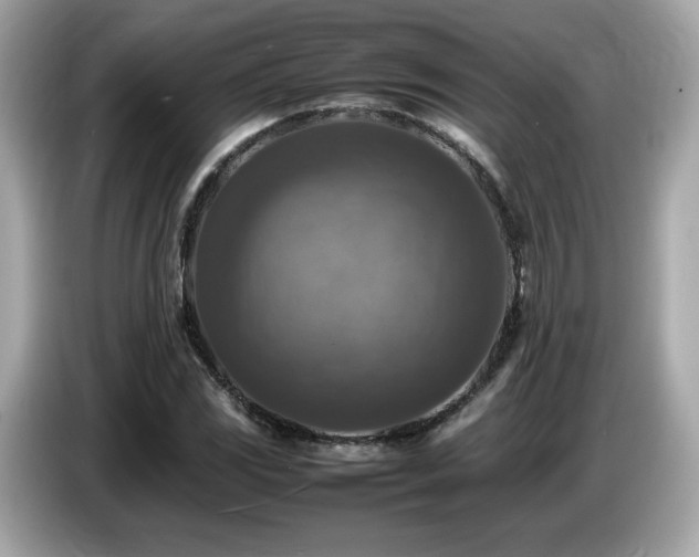 X0000087051117200704181231