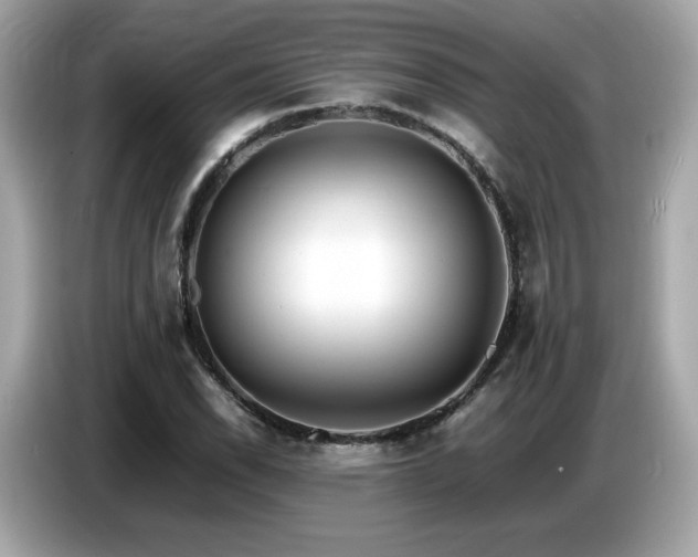 X0000087051118200704181231